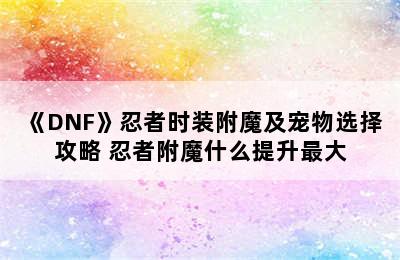 《DNF》忍者时装附魔及宠物选择攻略 忍者附魔什么提升最大